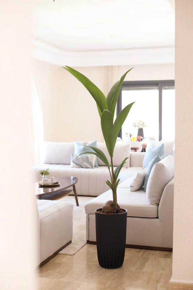 WhatsApp Image 2026-01-09 at 09.06.34 (1)