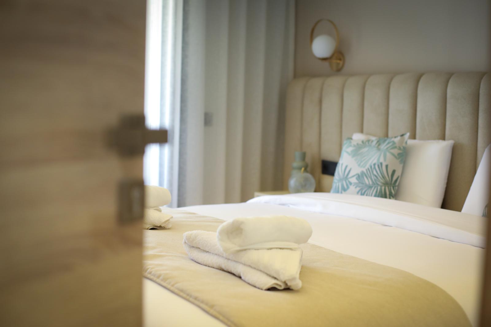 WhatsApp Image 2026-02-17 at 19.43.55-7