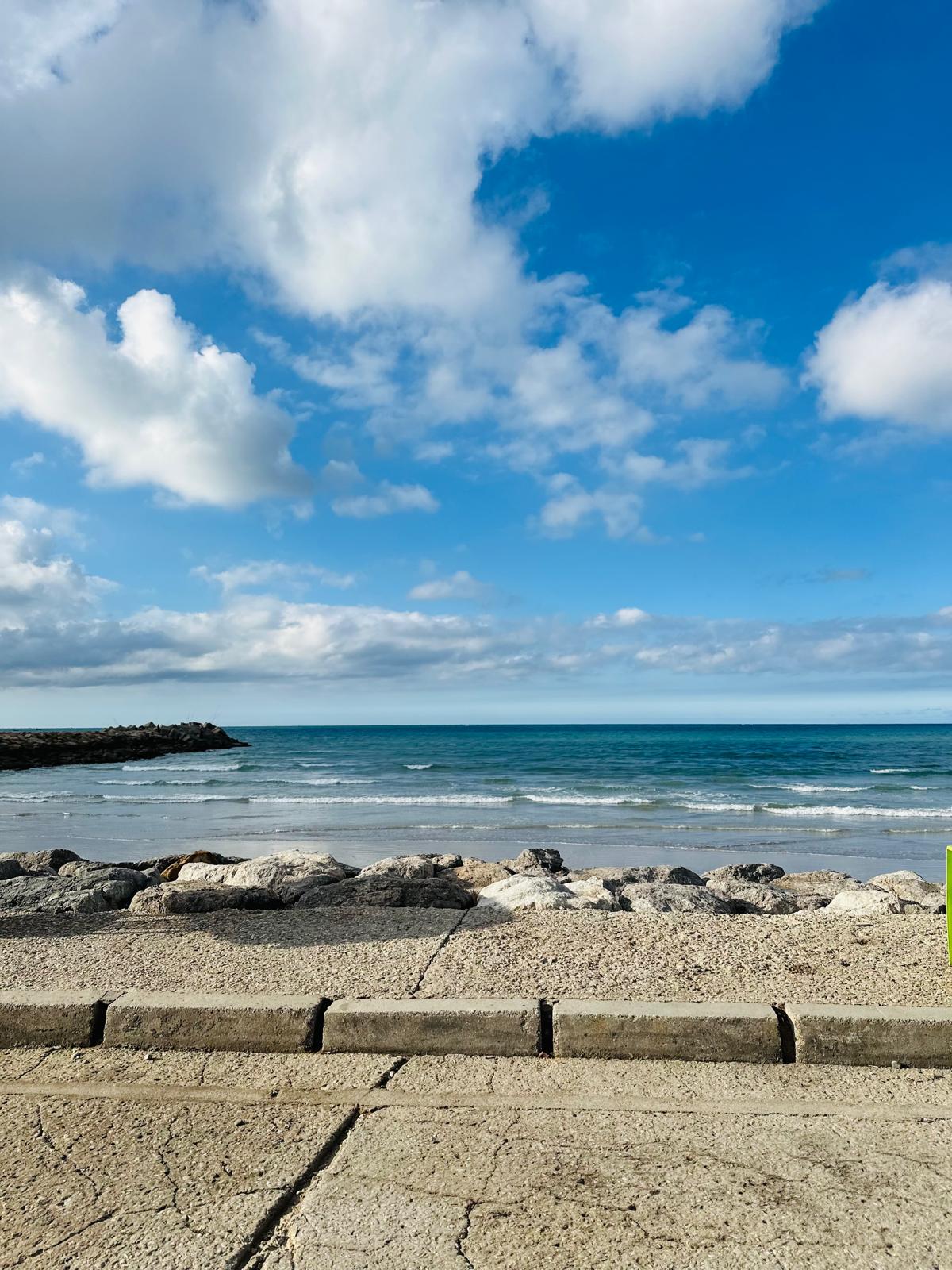 WhatsApp Image 2026-02-17 at 19.43.55