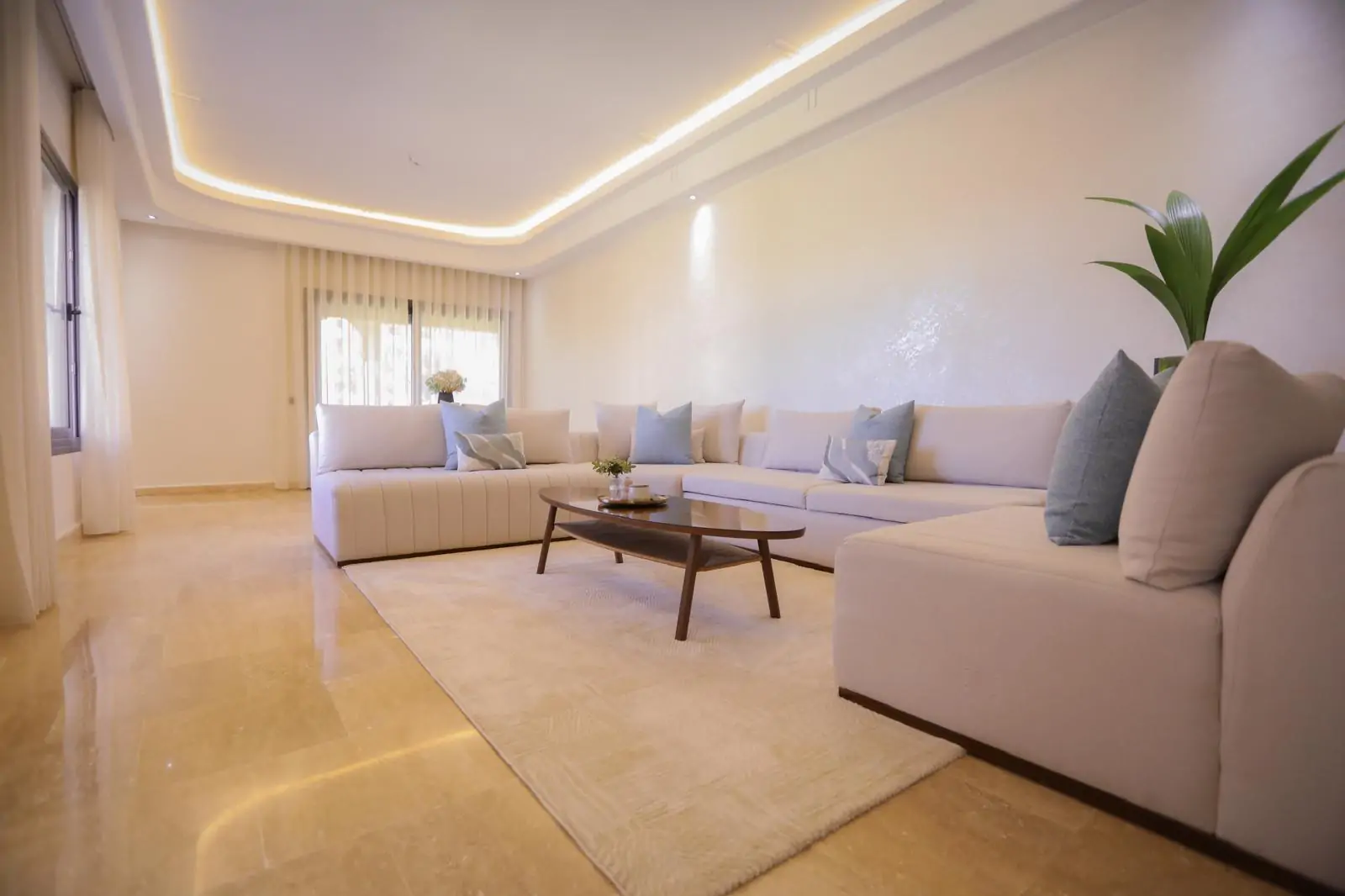 WhatsApp Image 2026-02-17 at 19.43.55-11