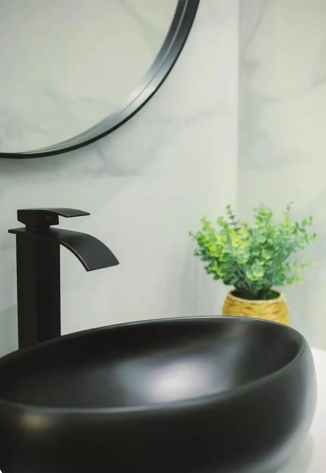 WhatsApp Image 2026-02-17 at 19.43.55-2