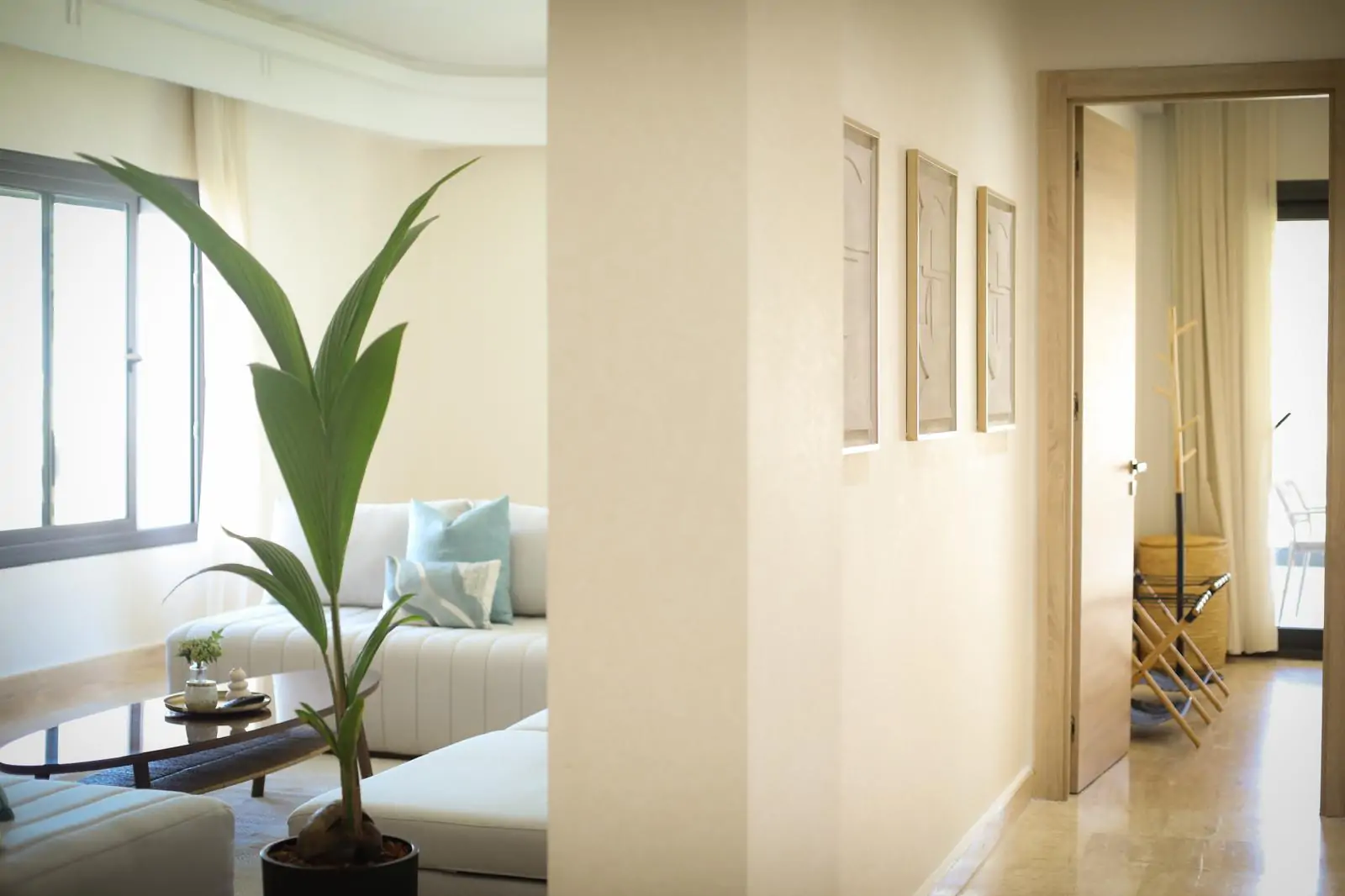 WhatsApp Image 2026-02-17 at 19.43.55-24