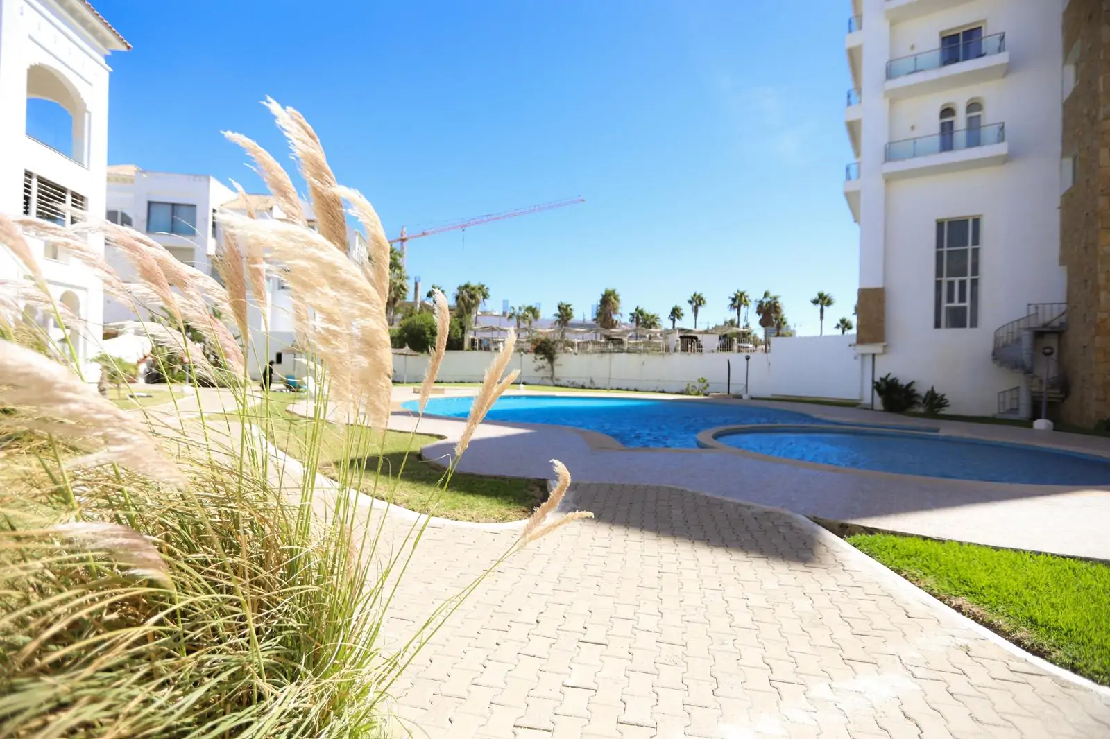 WhatsApp Image 2026-02-17 at 19.43.55-6